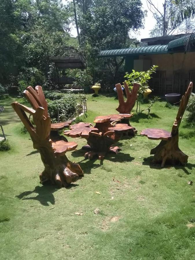 Sun Top Inn Ella Ngoại thất bức ảnh